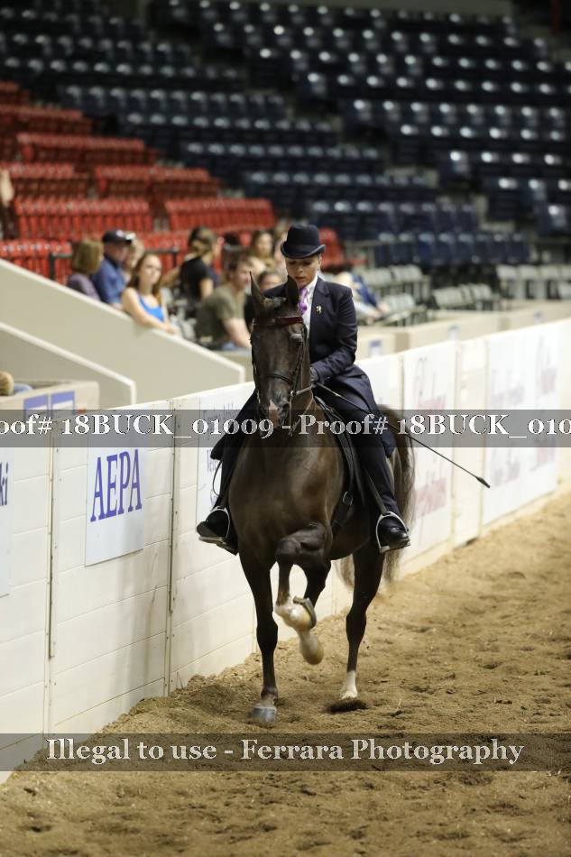 Proof 18BUCK_01009