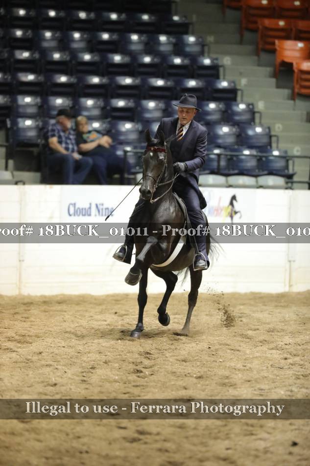 Proof 18BUCK_01011