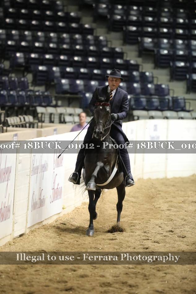 Proof 18BUCK_01012