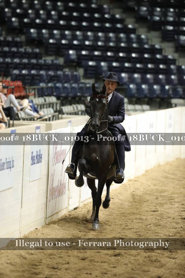 Proof 18BUCK_01013