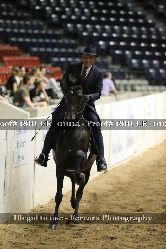 Proof 18BUCK_01014