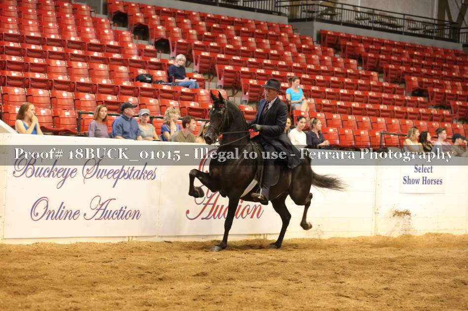 Proof 18BUCK_01015