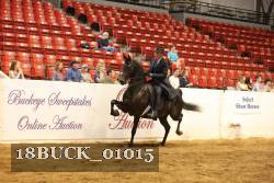 18BUCK_01015 proof