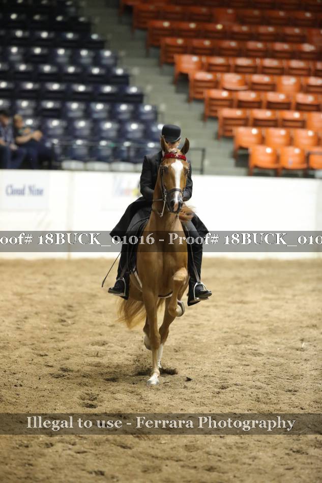 Proof 18BUCK_01016
