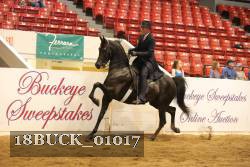 18BUCK_01017 proof