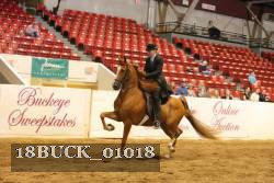 18BUCK_01018 proof