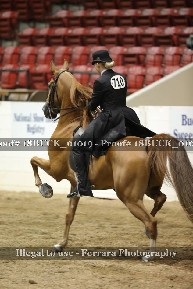 Proof 18BUCK_01019
