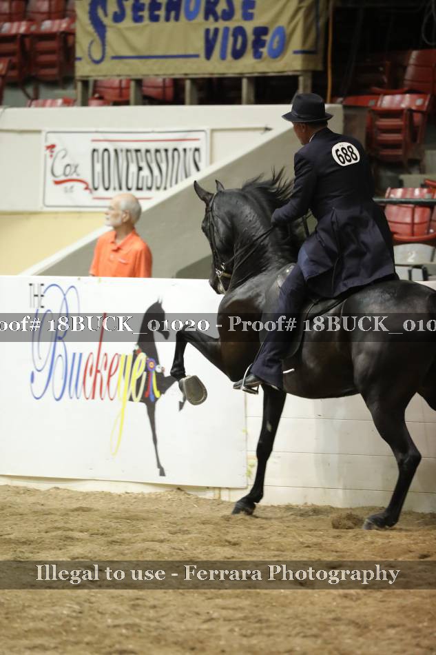 Proof 18BUCK_01020