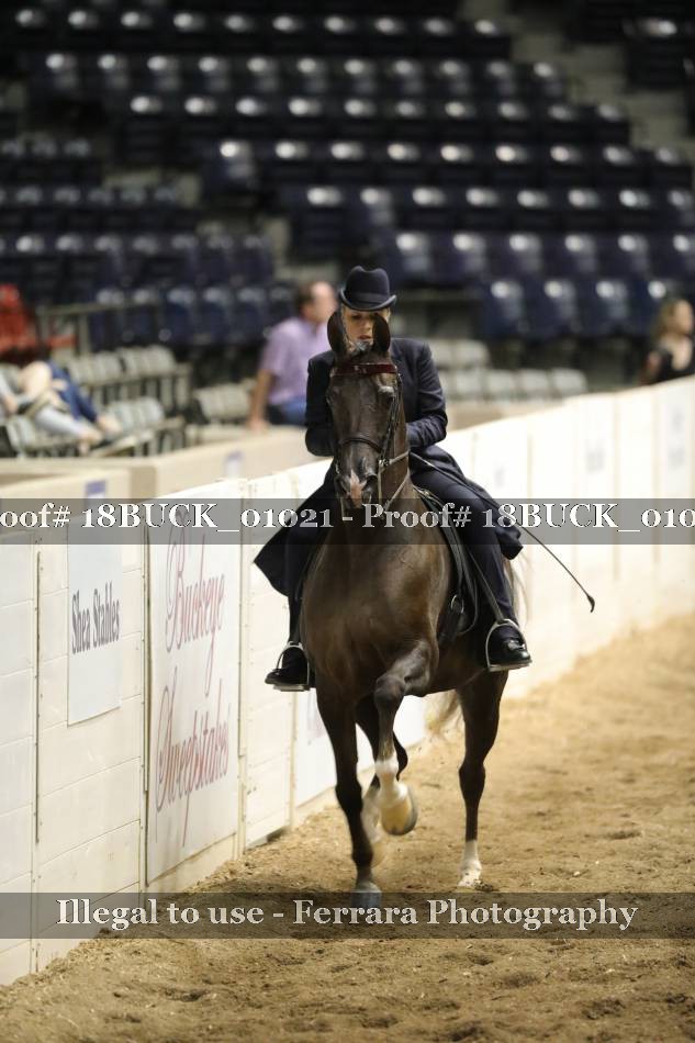 Proof 18BUCK_01021