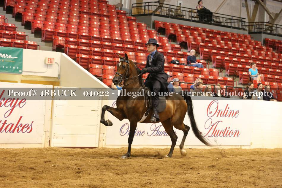 Proof 18BUCK_01022