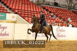 18BUCK_01022 proof