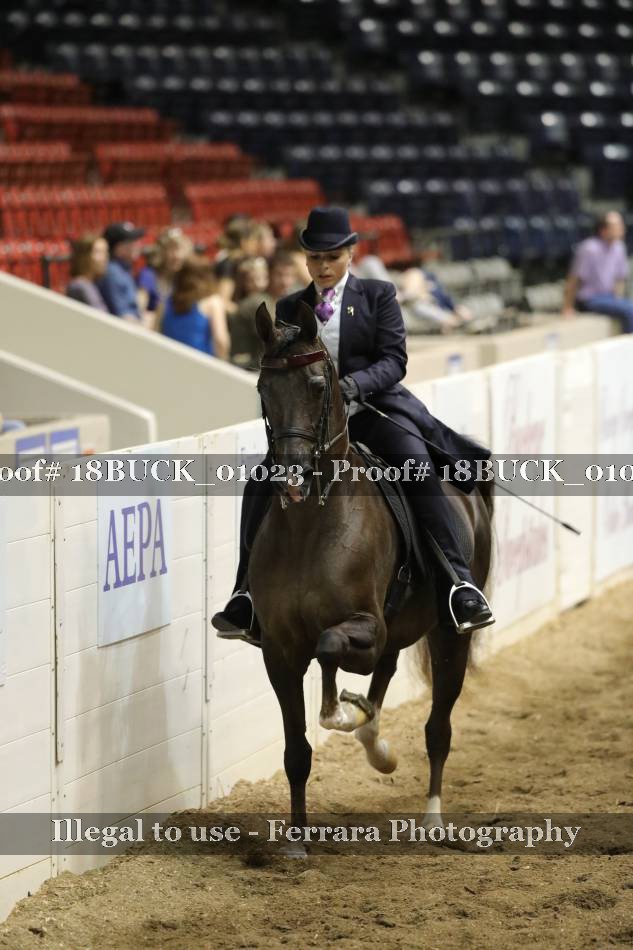 Proof 18BUCK_01023