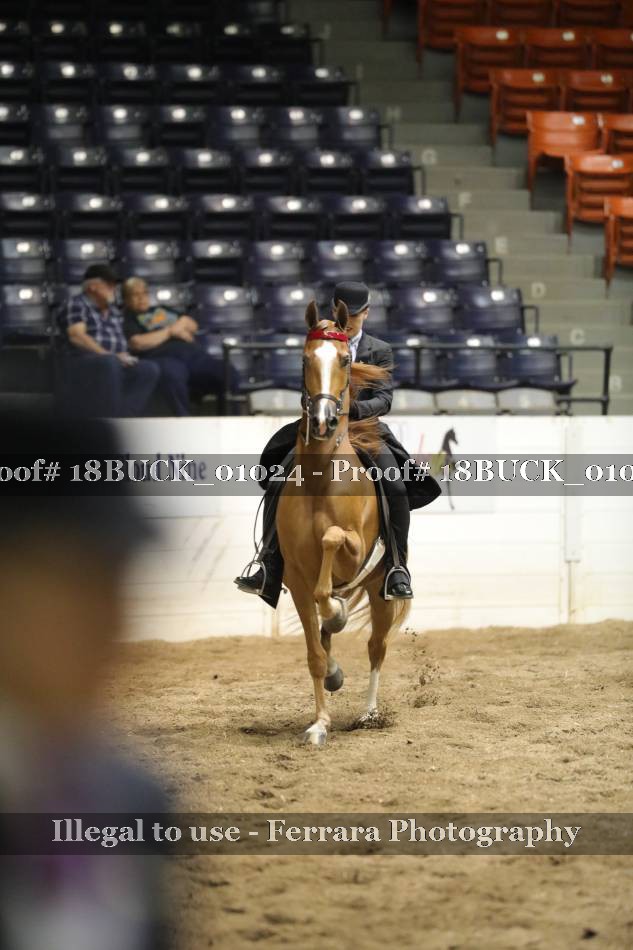Proof 18BUCK_01024