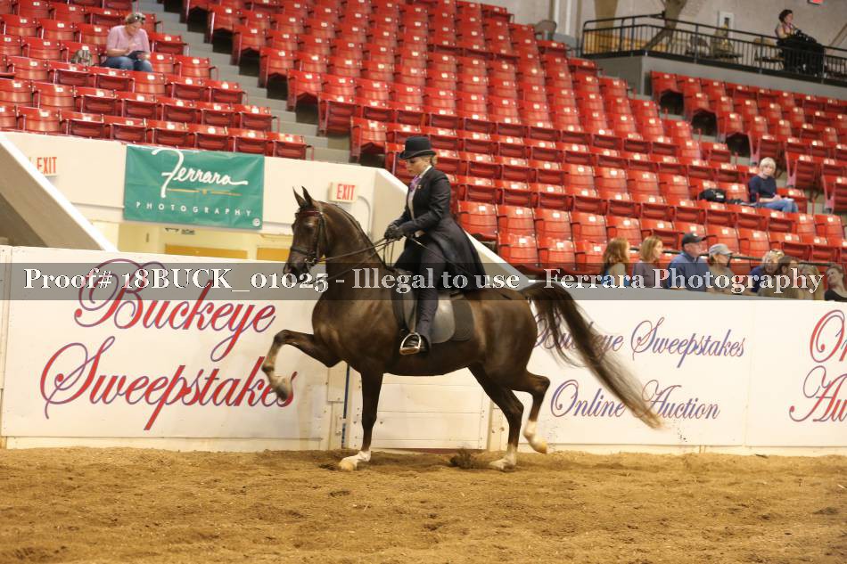 Proof 18BUCK_01025