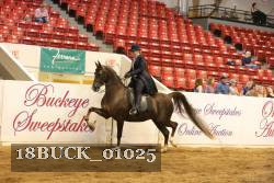 18BUCK_01025 proof