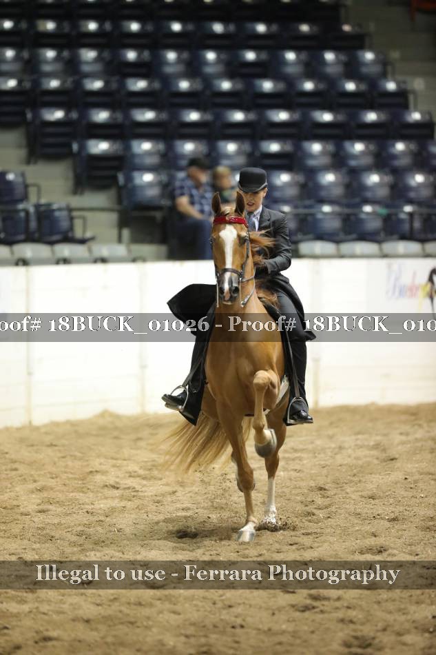 Proof 18BUCK_01026