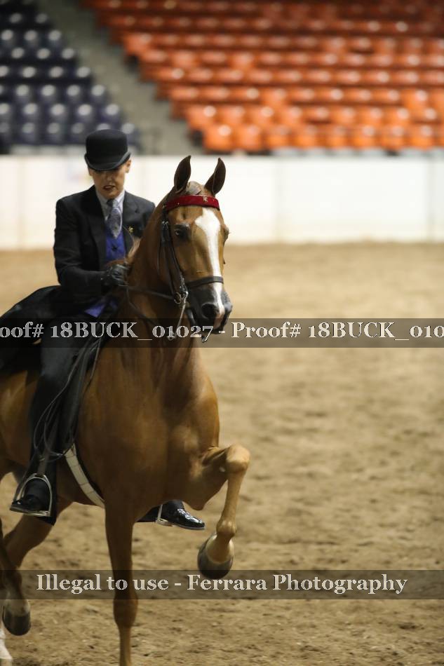 Proof 18BUCK_01027