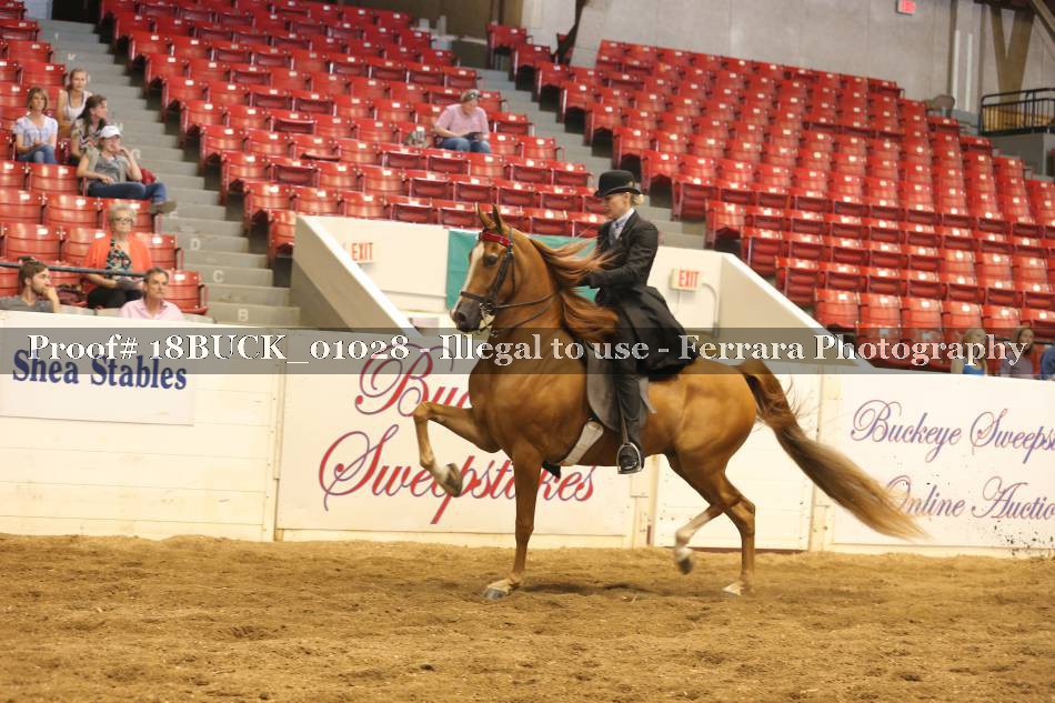 Proof 18BUCK_01028