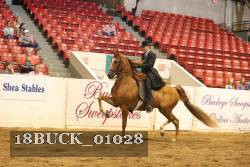 18BUCK_01028 proof