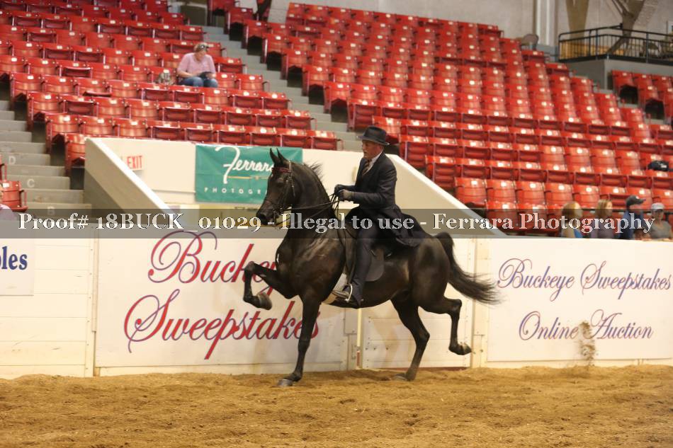 Proof 18BUCK_01029