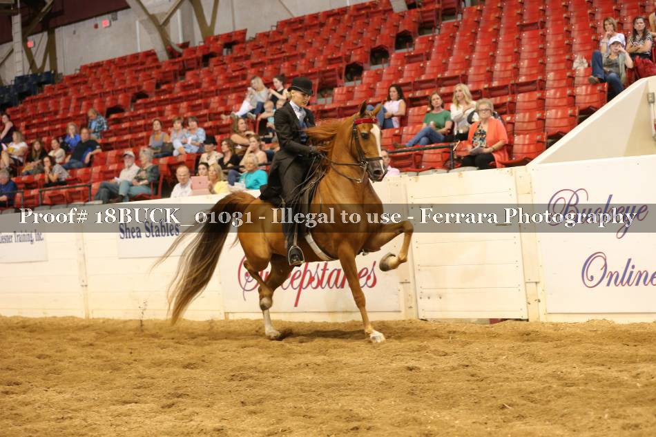 Proof 18BUCK_01031