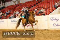 18BUCK_01031 proof