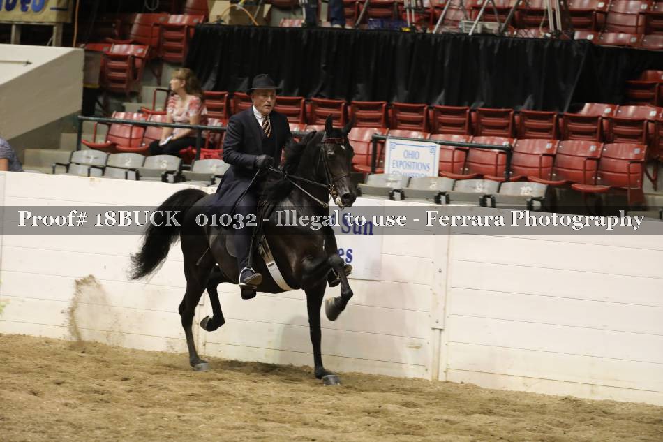 Proof 18BUCK_01032