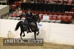 18BUCK_01032 proof