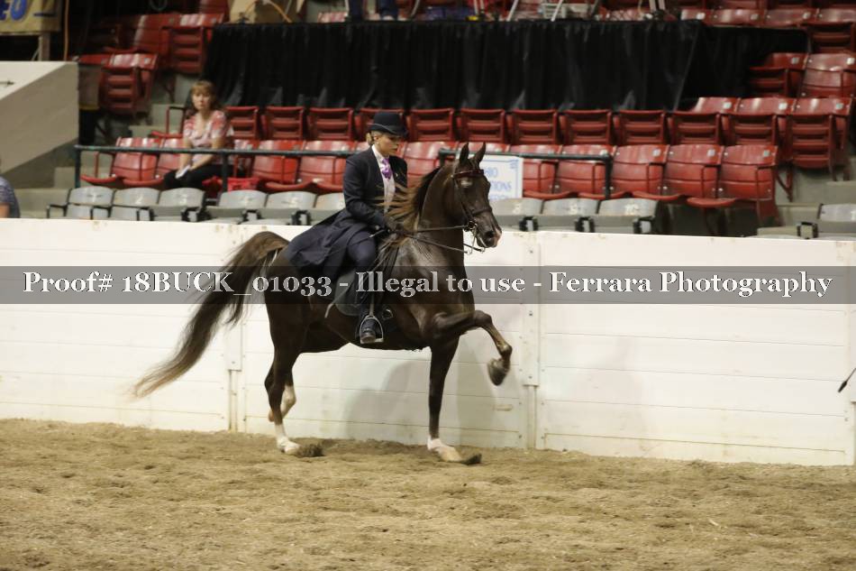 Proof 18BUCK_01033
