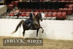 18BUCK_01033 proof