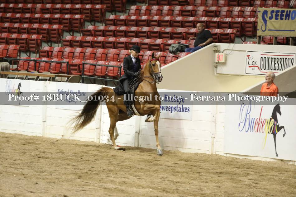Proof 18BUCK_01034