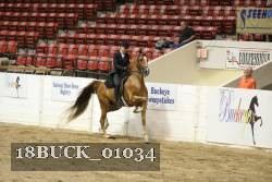 18BUCK_01034 proof