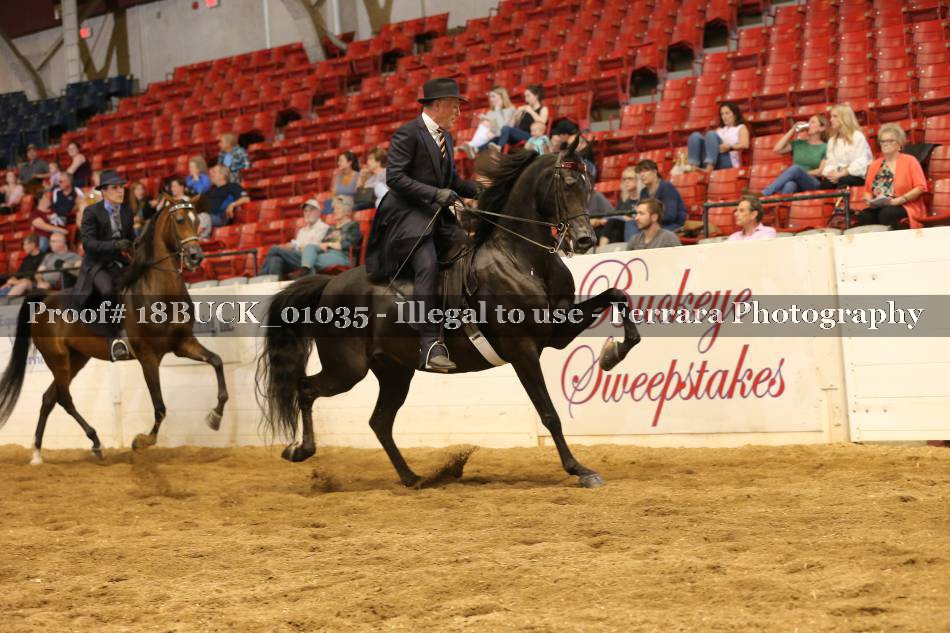 Proof 18BUCK_01035