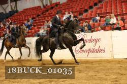 18BUCK_01035 proof