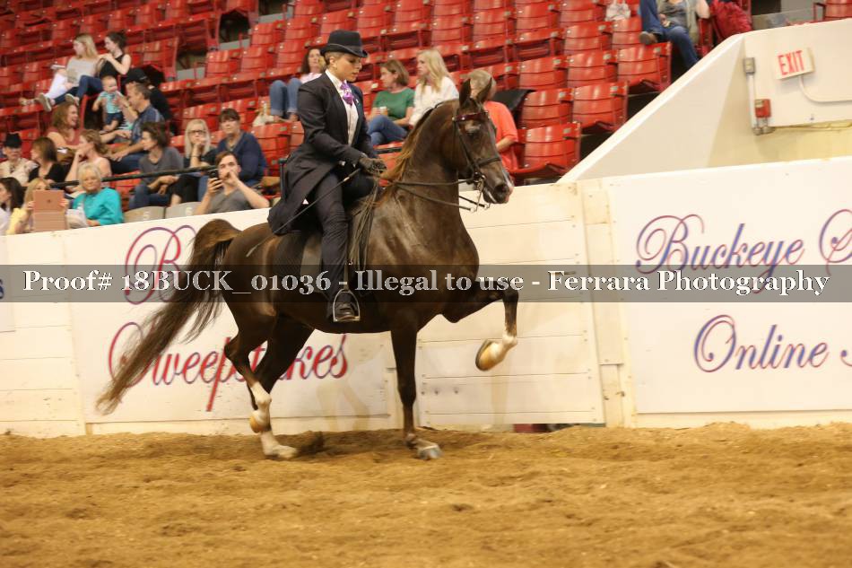 Proof 18BUCK_01036