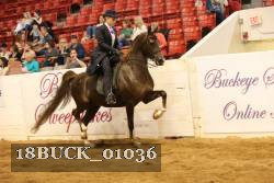 18BUCK_01036 proof