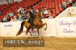 18BUCK_01037 proof