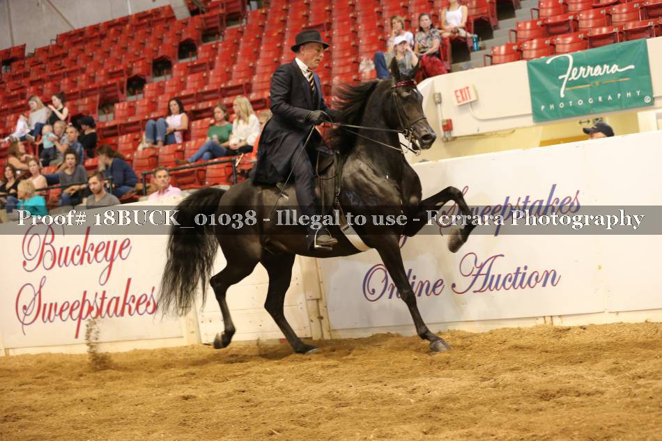 Proof 18BUCK_01038