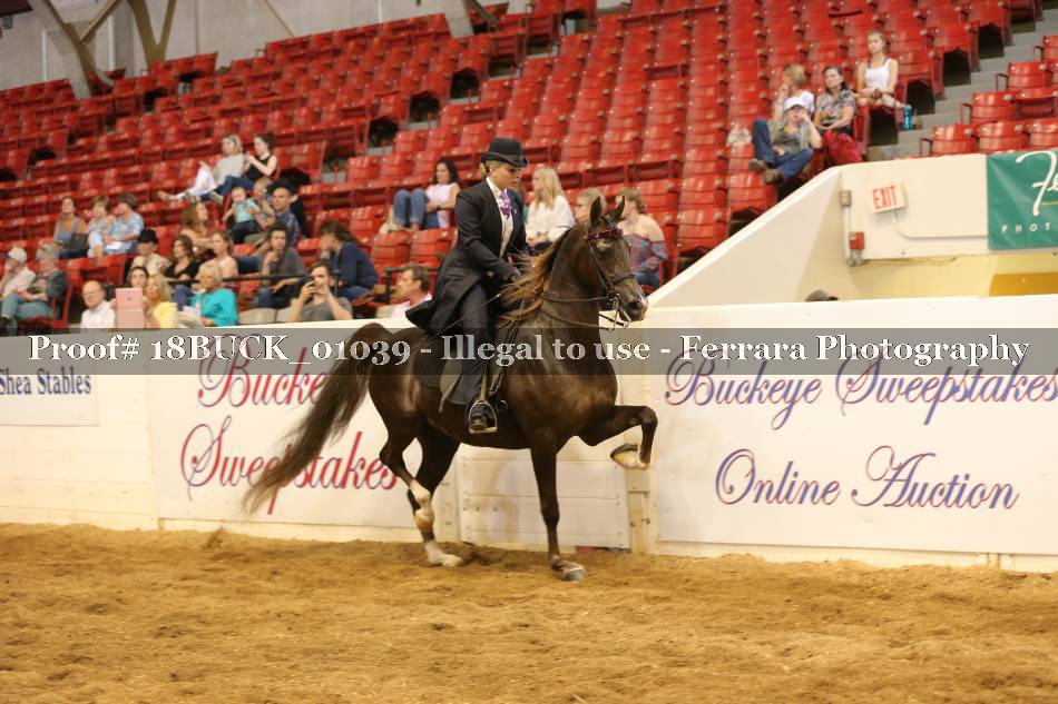 Proof 18BUCK_01039