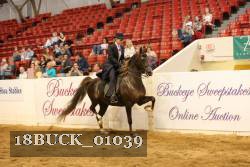 18BUCK_01039 proof