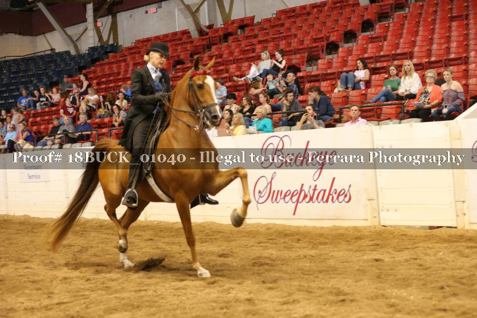 Proof 18BUCK_01040