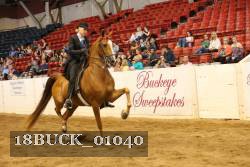 18BUCK_01040 proof