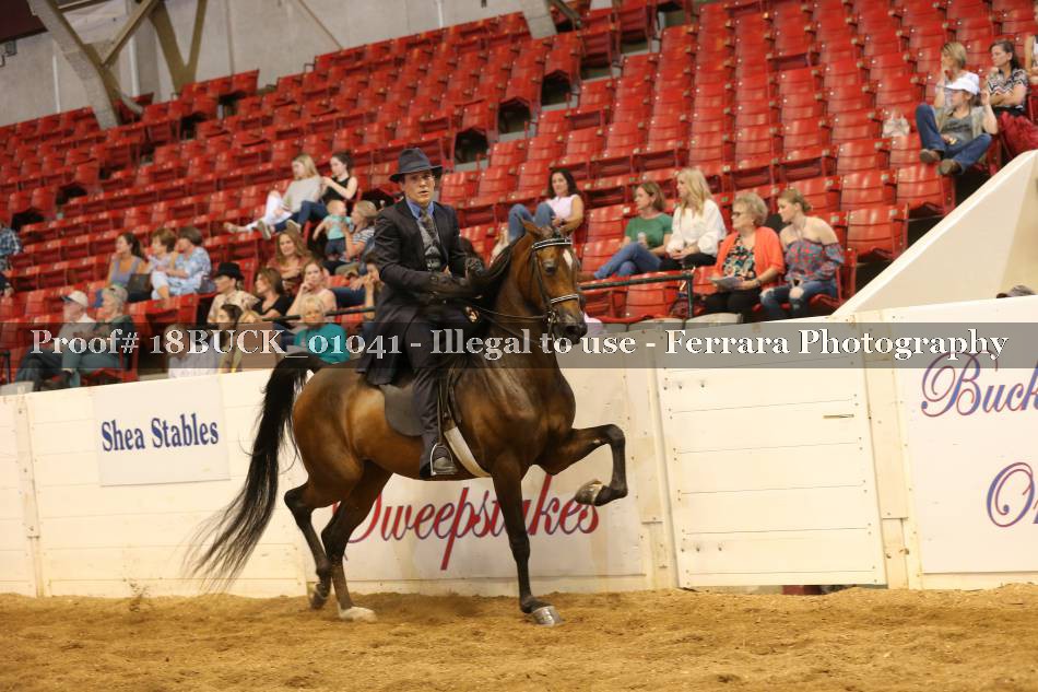 Proof 18BUCK_01041