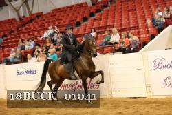 18BUCK_01041 proof
