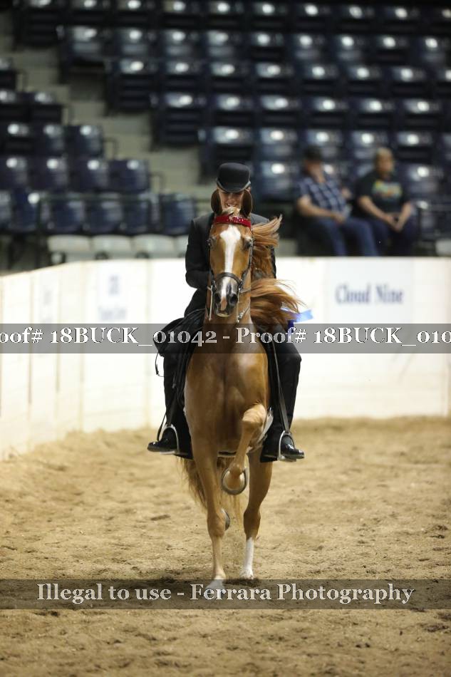 Proof 18BUCK_01042