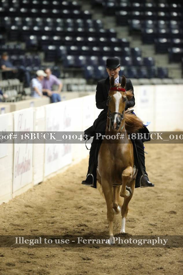 Proof 18BUCK_01043