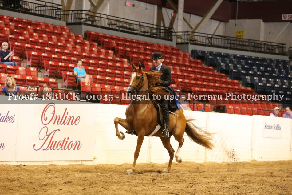 Proof 18BUCK_01045