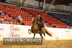 18BUCK_01045 proof