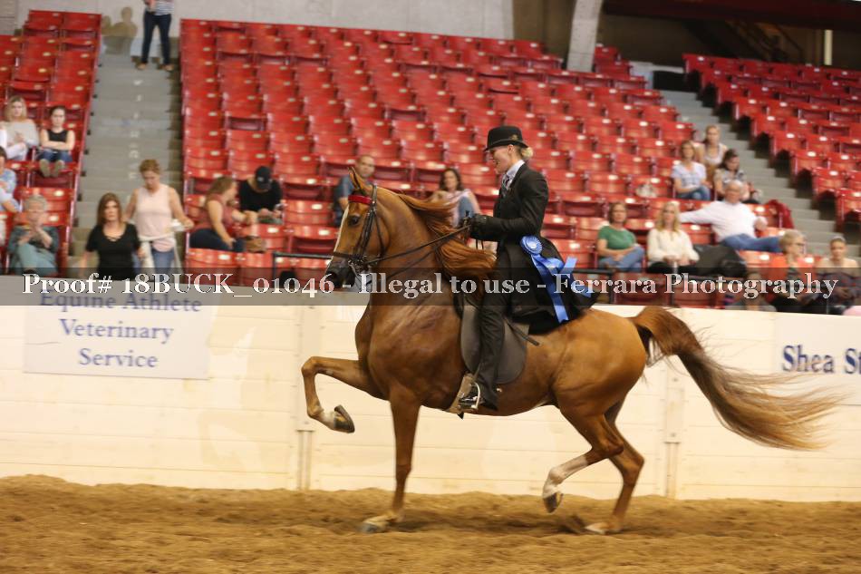 Proof 18BUCK_01046