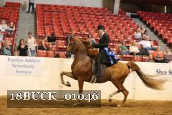 18BUCK_01046 proof
